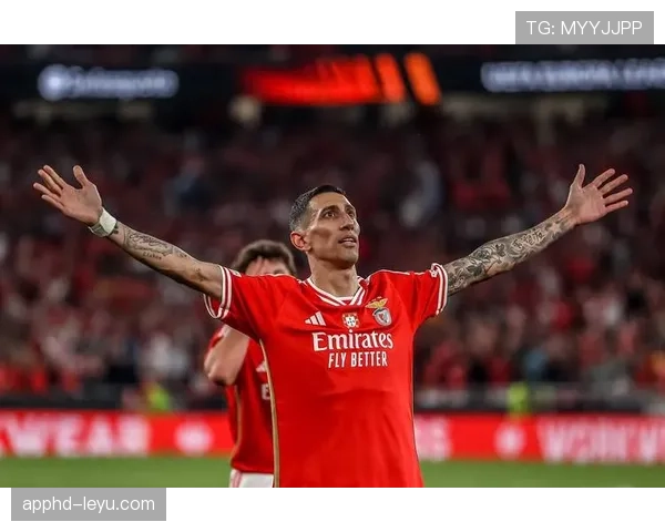 博卡青年状态低迷,本菲卡强势崛起:葡超劲旅能否客场称雄?