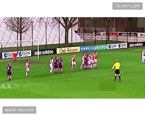 南美足球激情碰撞，赛场上演技艺与艺术的巅峰对决