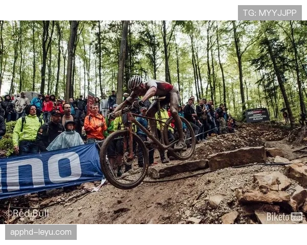 马赛高效反击逆转战局,表现惊艳赛场 马赛高效反击逆转战局,表现惊艳赛场