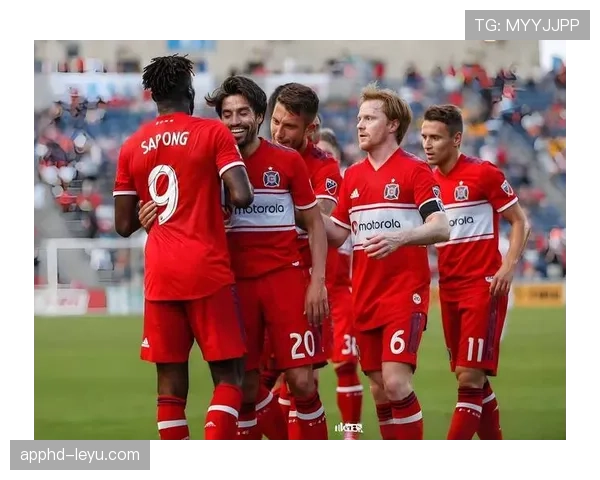 埃斯防线稳固，球队状态出色引关注