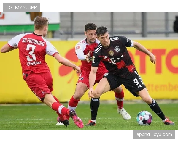 芬兰足球队友谊赛表现稳健，展现强劲实力与团队默契