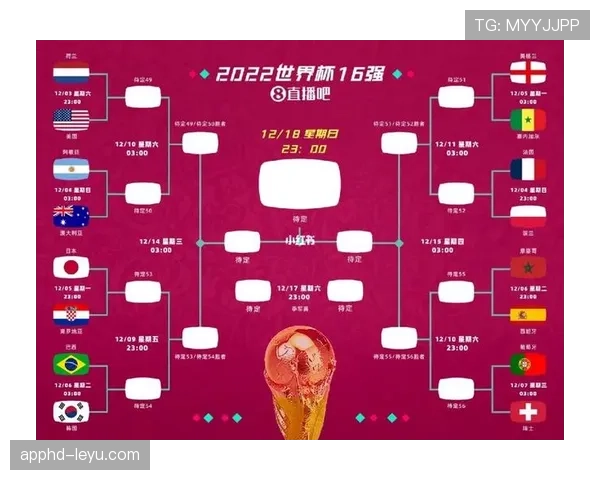 民主刚果冲击2026世界杯预选赛赛程分析与晋级前景